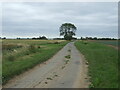 Woad Lane towards Marsh Farm in PE21 0SJ