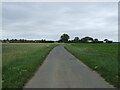 Doves' Lane towards Butterwick in Butterwick