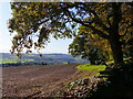 View over farmland, from Chepstow Park Wood in NP16 6EZ
