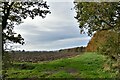 Burgate, Hall Farm: Ploughed field in IP22 1QQ