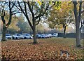 Small open space along New Parks Boulevard, Leicester in Western Ward