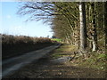 Lane to Pinstones in SY7 9LB