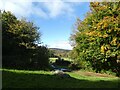 Fields and view to Dartmoor, Greenaway, Gidleigh in TQ13 8HT