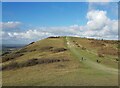 Ivinghoe: Beacon Hill in Ivinghoe
