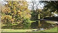 Pond beside Kewlake Lane in Ashurst, Bramshaw, Copythorne & Netley Marsh Ward