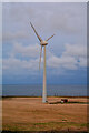 Berwick-Upon-Tweed : Wind Turbine in TD15 1FB