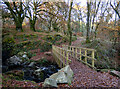 Footbridge over the Kilduskland burn in PA30 8HR