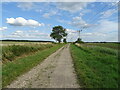 National Cycle Route 1 in LN3 5DN