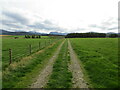 Field edge footpath leading to Faesheallach and Abernethy Forest in PH25 3DY