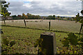 OS Trig Point on Unnamed Hill near Risley, Derbyshire in Risley