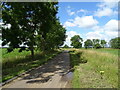 Fen Lane near Woolham Farm in PE23 5DQ