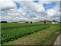 Halton Holegate Fen Farm in PE23 5BE