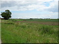Crop field and power lines off Skirmore Road in PE22 8PL