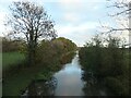 Ashby Canal, east of Hill's Bridge [no 54] in CV13 0BH