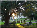 Thomas Hardy Locations, The End, Stinsford Churchyard in DT2 8PU
