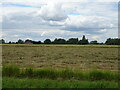 Harvest in progress, Old Leake in PE22 9PE