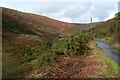 The access track to Upper Lliw reservoir in Mawr Community