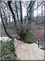 Flooded stream in EX39 5JX