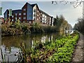Coventry Canal at Great Heath, Coventry in CV1 4HH