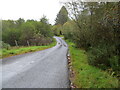 Tree enclosed minor road descending towards Taynuilt in PA35 1YE
