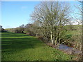 River Yeo - upstream in EX39 5ET