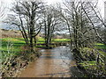 River Yeo - downstream in EX39 5ET