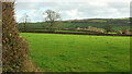 Grass field near Great Englebourne in TQ9 7PR