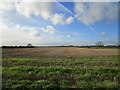Stubble field near Hill Farm. Coddington in NG24 2QE