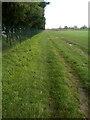 Fence and trees at Thurrock Rugby Club in RM16 3AH