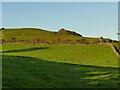 Rock outcrops above Gawith Field in Egton with Newland