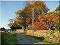Autumn colours at Gawith Field in Egton with Newland