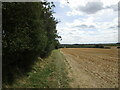 Bridleway to Little Oakley in NN18 8GH