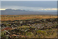 Remains of Felled Forestry Plantation at Ascoile, Sutherland in KW9 6LX