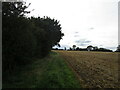 Bridleway to Geddington and Newton in Newton and Little Oakley