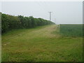Farm track and hedgerow near Woody's Top in LN11 8RQ