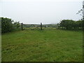 Field entrance on Oslear's Lane in Maidenwell