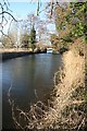 River Lark and Farthing Bridge in IP28 6PE