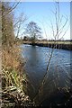 River Lark near Icklingham in IP28 6PE