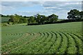 Farmland, St Mary Bourne in SP11 6EU