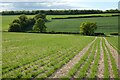 Farmland, St Mary Bourne in SP11 6YF