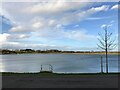The Lake at Hampton Lakes, Peterborough in Hargate & Hempsted Ward