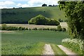 Farmland, West Woodhay in RG20 0BP