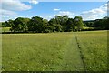 Pasture, East Woodhay in RG20 0AJ