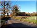 The road from Grittleton nearing Dunley Wood in SN14 6AN