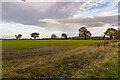 Land off Station Road, Swinderby in Swinderby