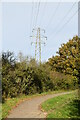Pylon by The Cuckoo Trail in BN26 6RE