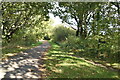Footpath crossing The Cuckoo Trail in BN27 3PN