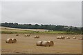 Rond bales, Bridgend in EH49 6NR