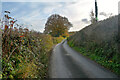 Luppitt : Country Lane in EX14 4TR