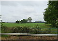 Farmland beside the A16, Partney in Partney